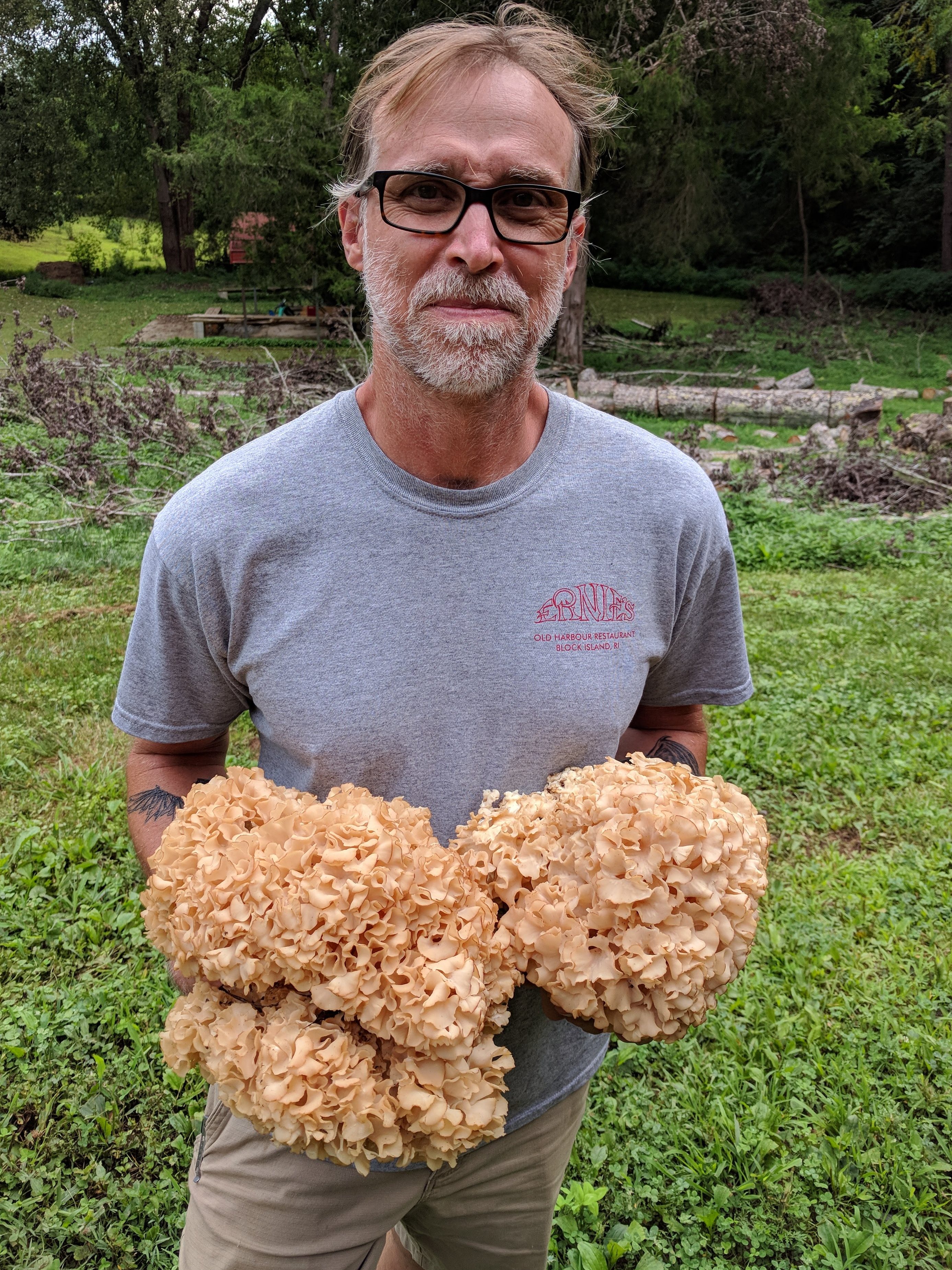 Cauliflower mushroom